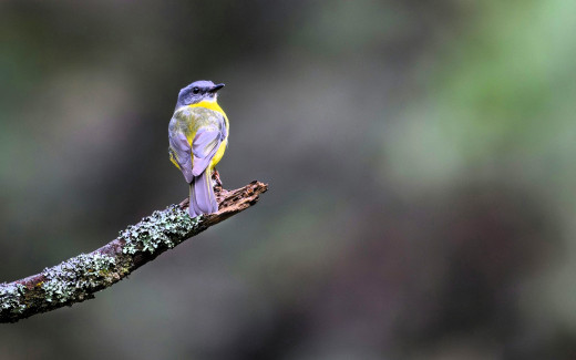 �1753749 �������(a): ����������:1920x1200